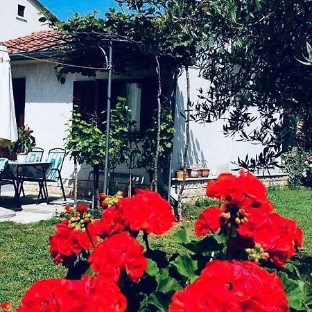 Studio Benassi Porec Ngoại thất bức ảnh